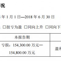 鋰電上市公司H1預告 材料亮眼鋰電池增速放緩