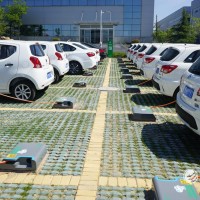 風口過后中國電動汽車企業面臨大浪淘沙