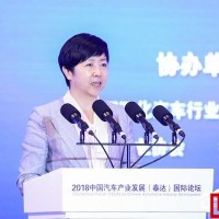 差距明顯 我國新能源汽車產業存在三大風險和四個不足