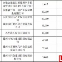 完善新能源產業鏈布局 新海宜聯合合肥國軒設立產業基金