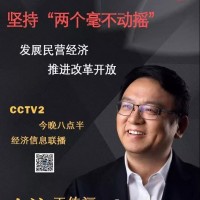 寧德時代之后 央視再次對話鋰電龍頭——比亞迪