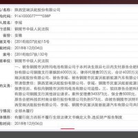 從鋰電巨頭到“老賴” 堅瑞沃能竟稱不知曉