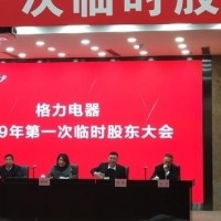 銀隆收入突破102億 董明珠連任后回應銀隆“黑天鵝”事件