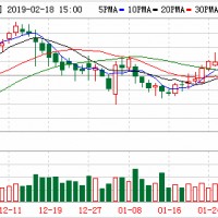 凈利潤5.4億 恩捷股份重大資產重組“催肥”業績？