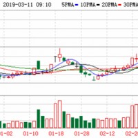 韓方技術(shù)團隊已到位 堅瑞沃能現(xiàn)在只缺錢了