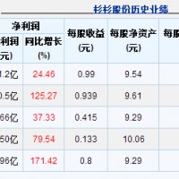 鋰電池材料業(yè)務(wù)破70億 杉杉股份聚焦鋰電業(yè)務(wù)值了