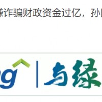 涉案金額超14億 董明珠投資的銀隆新能源公開案情