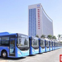 新能源汽車騙補引發蝴蝶效應 五洲龍停工數月員工放假