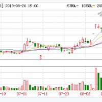 從盈利5億到虧損8000萬 鋰電材料商寒銳鈷業盈利成疑