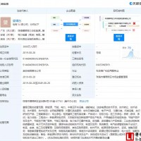 格力華鈦面世！格力電器重新“牽手”銀隆新能源