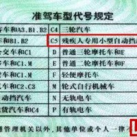 駕照年齡放寬，微型電動車正在取代老年代步車