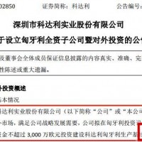 鋰電企業(yè)紛紛前往歐洲投資，“中國制造”集體出海