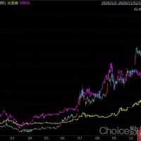 特斯拉5倍，比亞迪4倍，蔚來35倍……新能源電動車新命題