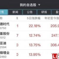 贛鋒鋰業(yè)市值1250億元，長協(xié)訂單影響未來走勢