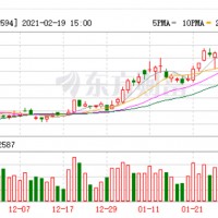 新能源汽車銷量超預(yù)期 韓國現(xiàn)代重點(diǎn)關(guān)注比亞迪寧德時代電池