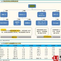  鋰電材料寡頭——華友鈷業的蛻變