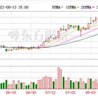 布局鋰電池正極材料前驅(qū)體 多家鈦白粉企業(yè)跨界新能源