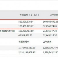 因?yàn)殇囯姵夭牧蠘I(yè)務(wù) 這家碳納米管龍頭凈利大增2倍多