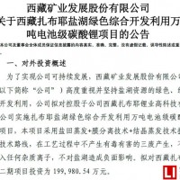 投資20億 西藏礦業鹽湖提鋰產業發展將全面提速