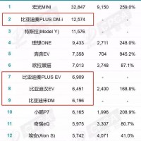 比亞迪VS特斯拉：中國制造對決美國鋼鐵俠