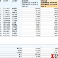 鋰礦“市值一哥”要易主？行業平均反彈達55.9%