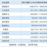 新能源紅利來襲！鋰礦企業半年凈利潤預增超100倍