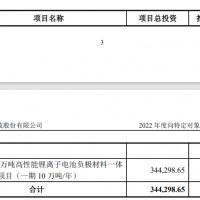 鋰電上市公司來了位“黑道上的女俠客”