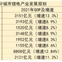 誰是中國真正的“鋰都”？