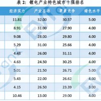 鋰礦資源型城市開始煩惱了