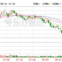 鋰電企業博力威調研快報（附海外業務情況）