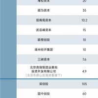 中國（鋰電）新能源產業背后的頂級投資者