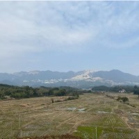 碳酸鋰跌價 宜春鋰企大面積停產
